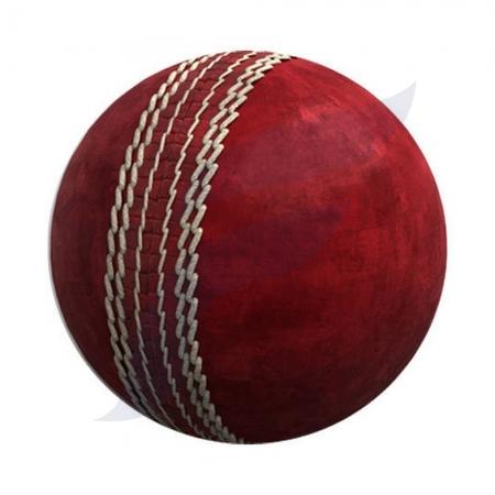 Cricket Leather Ball