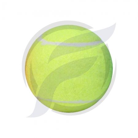 Tennis Ball